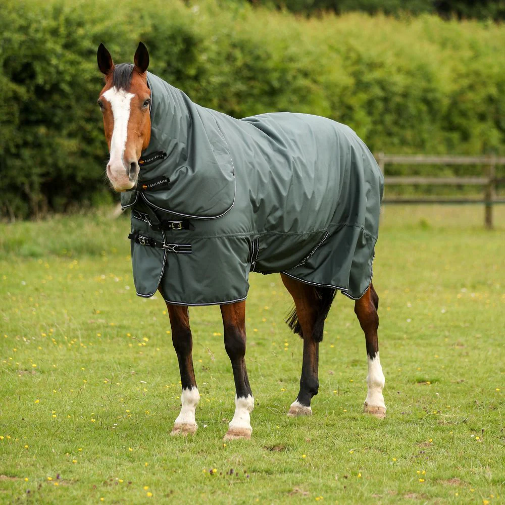 Horse Wear